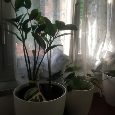 Lägenhet Casa Blu House Nel Cuore Di Genova-a Due Passi Dal Mare *